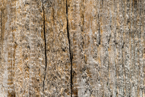 Wooden texture, rustic background of wood structure with copy space - Photo, image