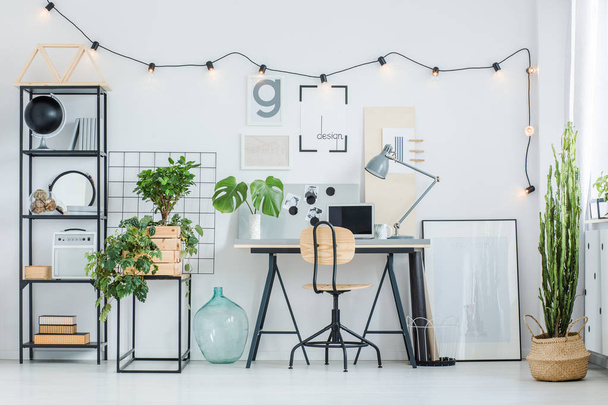 Creative home office with plants - Zdjęcie, obraz