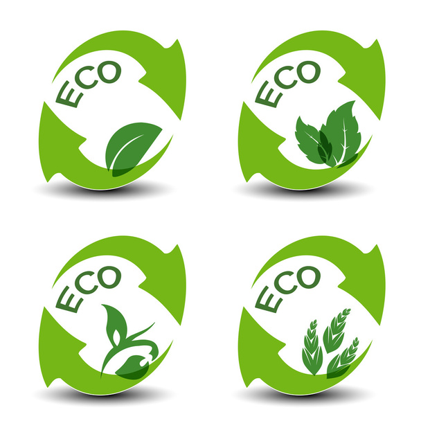Nature symbols with leaf - eco icons - Вектор,изображение