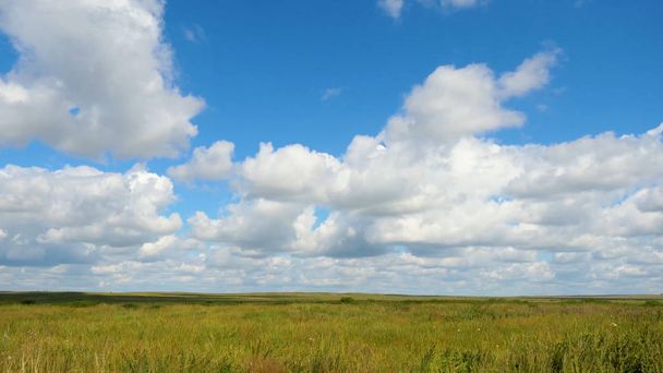 Green field summer landscape, timelapse. Clouds and blue sky field - Photo, Image