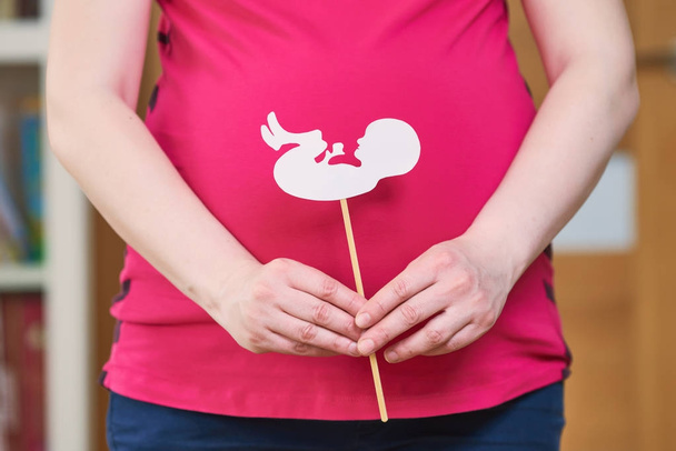 Pregnancy concept. hands of pregnant woman holding embryo image - Fotografie, Obrázek