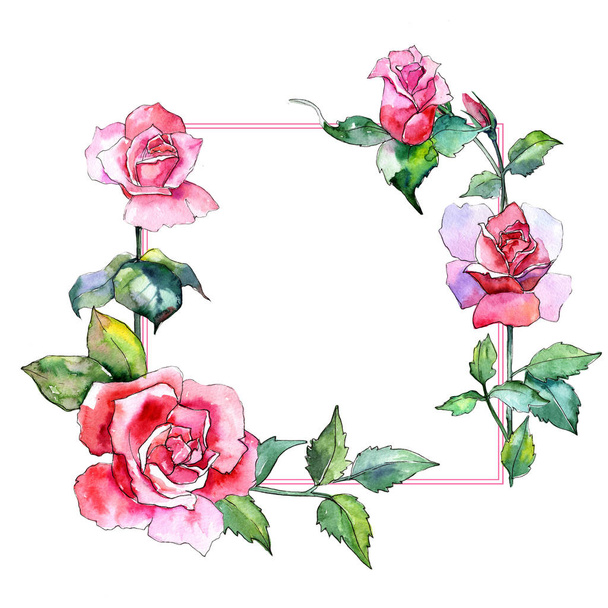 Cadre fleur rose fleur sauvage dans un style aquarelle
. - Photo, image