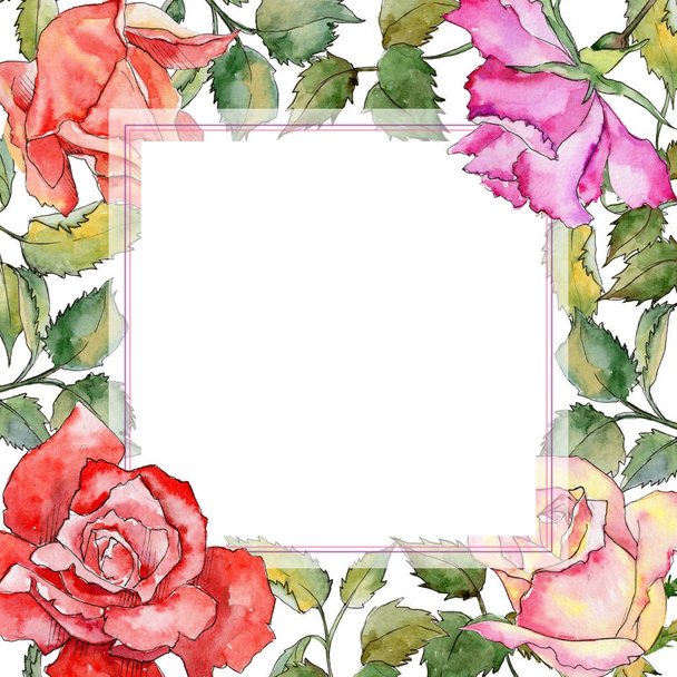 Wildflower rose flower frame in a watercolor style. - Foto, afbeelding