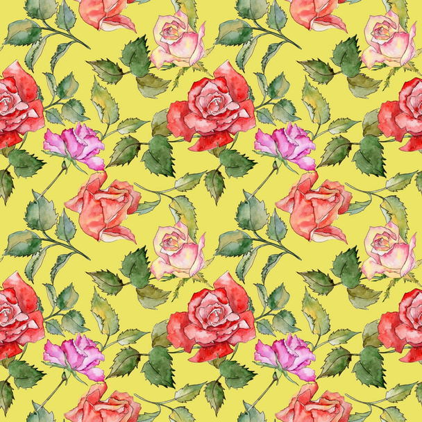 Wildflower rose flower pattern in a watercolor style. - Foto, immagini