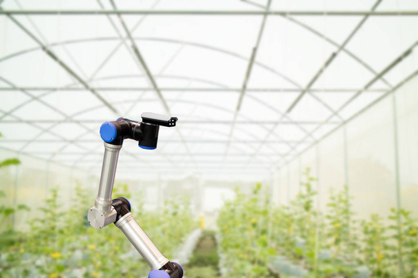 älykäs robotti maatalouden konseptissa, robottiviljelijät (automaatio
) - Valokuva, kuva