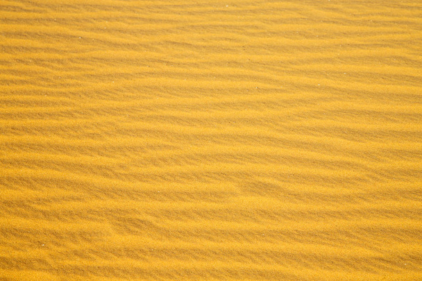 Αφρική καφετιά άμμο αμμόλοφος στη Σαχάρα   - Φωτογραφία, εικόνα