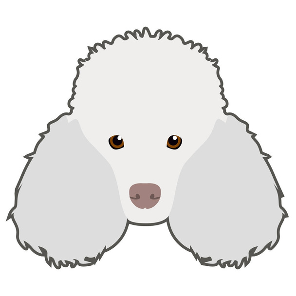 Dog face icon - Vektor, obrázek