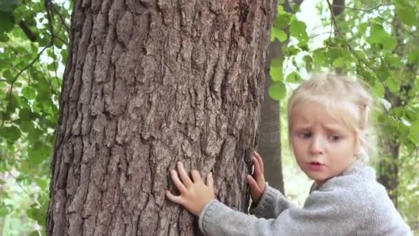 Girl hugging a tree - Felvétel, videó