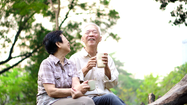 glückliches altes asiatisches Seniorenpaar, das sich morgens im Park trifft. Kaffeegespräch - Filmmaterial, Video