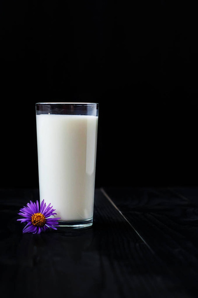 Solo un vaso de leche sobre un fondo negro y una flor púrpura
 - Foto, imagen