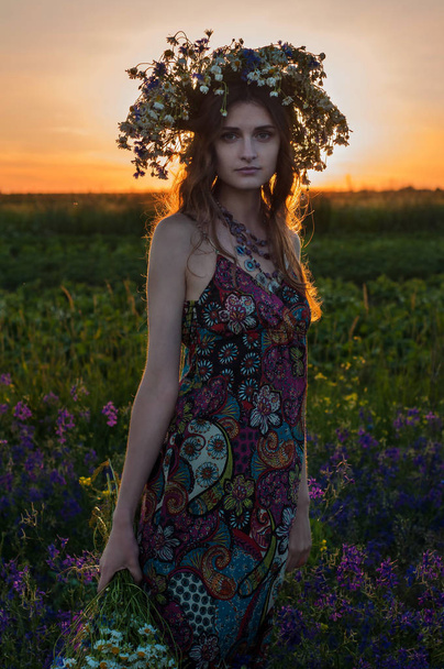 Tyttö kukkaseppeleen kanssa. Muotokuva kaunis ukrainalainen tyttö seppele kesän kukkia luontoon. Tyttö kentällä unikkojen kanssa
. - Valokuva, kuva