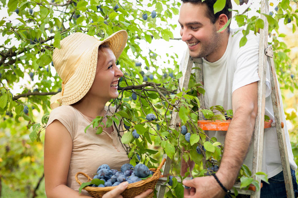 Enjoy in fruit picking - Фото, зображення
