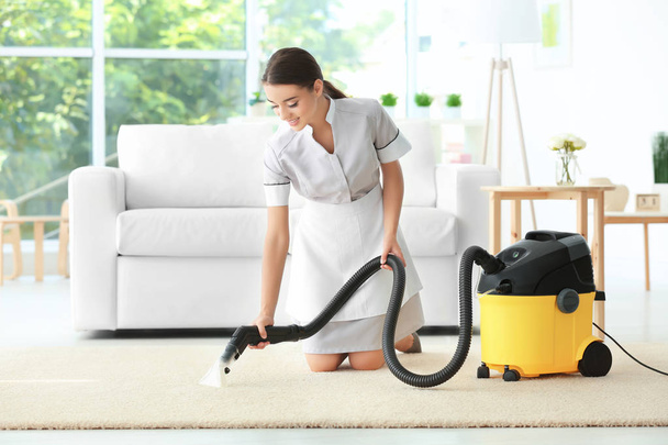 Woman using steam vapor cleaner  - Photo, image