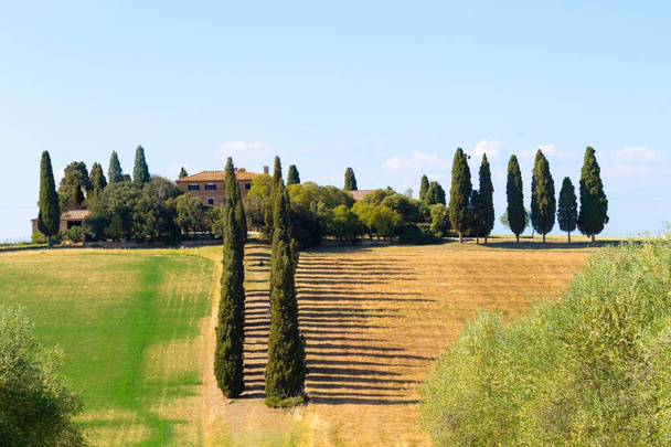 Toscana colinas paisaje, Italia - Foto, imagen