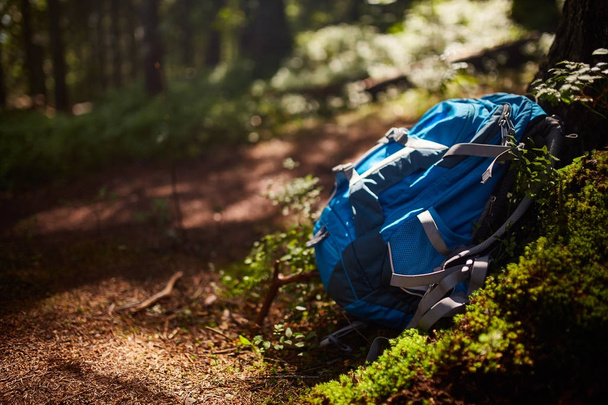 Lifestyle hiking modern backpack outdoor in forest. Blue backpack for travel on rock and tree in the forest. - Photo, image