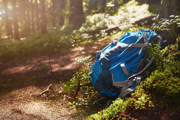 Lifestyle hiking modern backpack outdoor in forest. Blue backpack for travel on rock and tree in the forest. - Foto, Bild