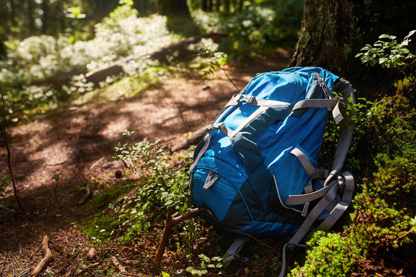 Lifestyle hiking modern backpack outdoor in forest. Blue backpack for travel on rock and tree in the forest. - Foto, immagini