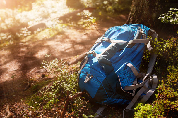 Stile di vita escursionismo zaino moderno all'aperto nella foresta. Zaino blu per viaggiare su roccia e albero nella foresta
. - Foto, immagini