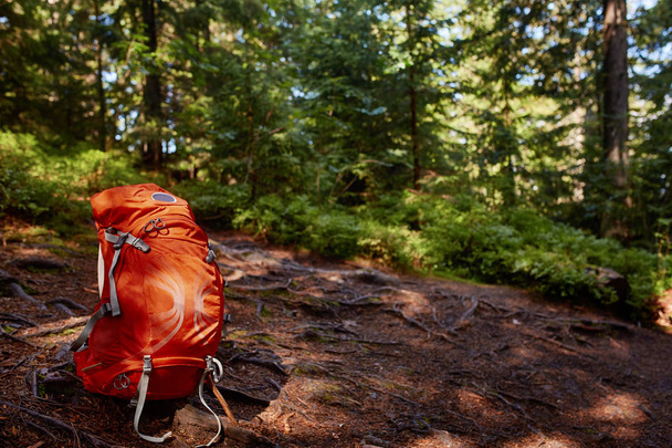 Lifestyle hiking modern backpack outdoor in forest. Blue backpack for travel on rock and tree in the forest. - Foto, Imagen