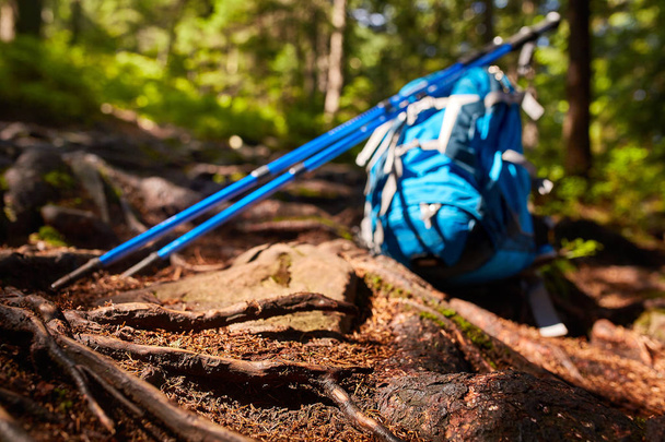 Travel backpack on the wooden bench in the forest. Outdoor wanderlust items. Travel, tourism and camping equipment. - 写真・画像