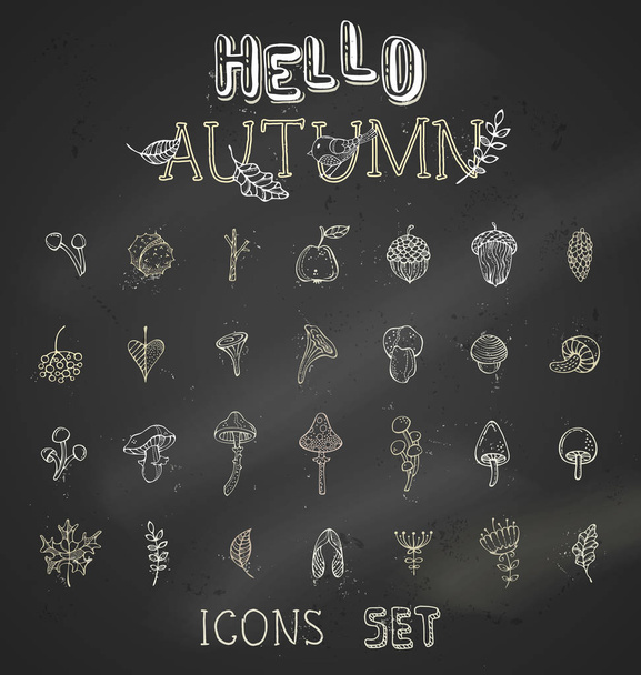 chalk set of autumn icons  - Вектор, зображення