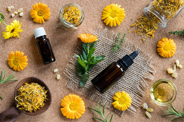 Selection of essential oils and herbs on a brown background - Photo, Image