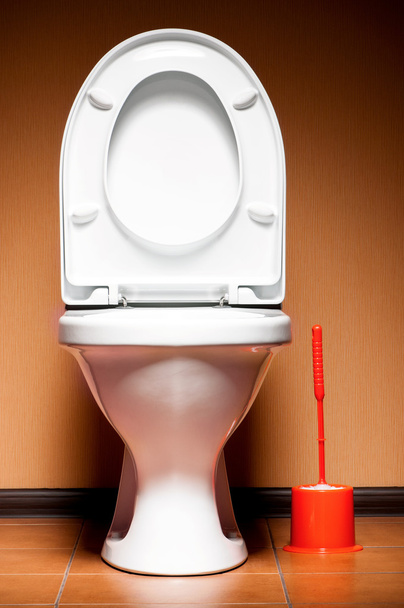 vaso sanitário
 - Foto, Imagem