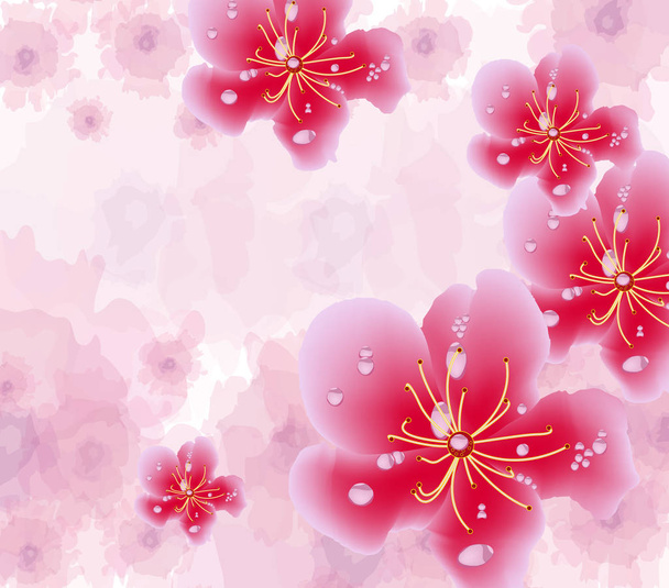 Chinese new year background blooming sakura branches - Vector, imagen