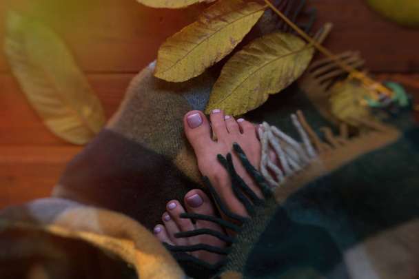 lábujjak, az őszi levelek. Napos őszi reggel, a lábujjak, csomagolt - Fotó, kép