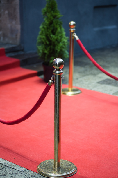 vörös szőnyegen hagyományosan az útvonalát az állam ünnepi és hivatalos alkalmakkor megjelölni, és az utóbbi évtizedekben is kiterjesztették használja, Vips és a hírességek hivatalos rendezvényeken. - Fotó, kép