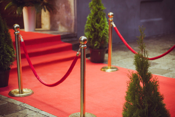 tapete vermelho é tradicionalmente usado para marcar o caminho tomado pelos chefes de Estado em ocasiões cerimoniais e formais, e nas últimas décadas foi estendido para uso por VIPs e celebridades em eventos formais.
. - Foto, Imagem