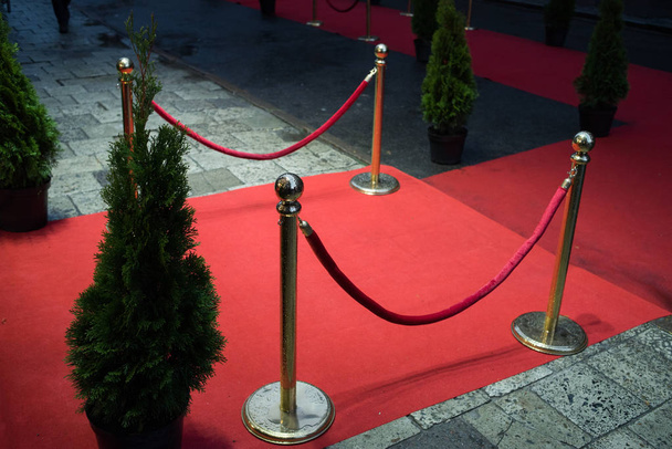tapis rouge est traditionnellement utilisé pour marquer la route empruntée par les chefs d'État lors d'occasions cérémonielles et formelles, et a été étendu au cours des dernières décennies pour être utilisé par les personnalités et célébrités lors d'événements formels
. - Photo, image