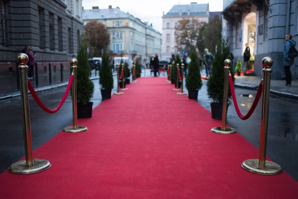 alfombra roja se utiliza tradicionalmente para marcar la ruta tomada por los jefes de Estado en ocasiones ceremoniales y formales, y en las últimas décadas se ha ampliado a su uso por los VIP y celebridades en eventos formales
. - Foto, imagen