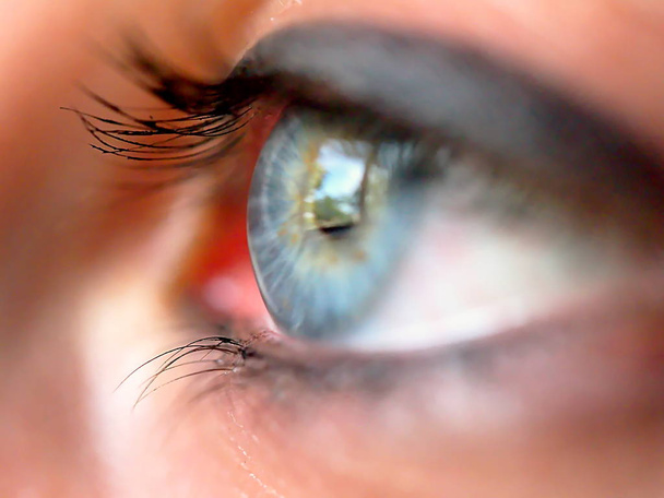 Blue human eye. - Photo, Image