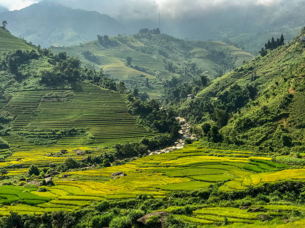 Krajina zelená rýžová pole v Sapa, severní Vietnam. - Fotografie, Obrázek
