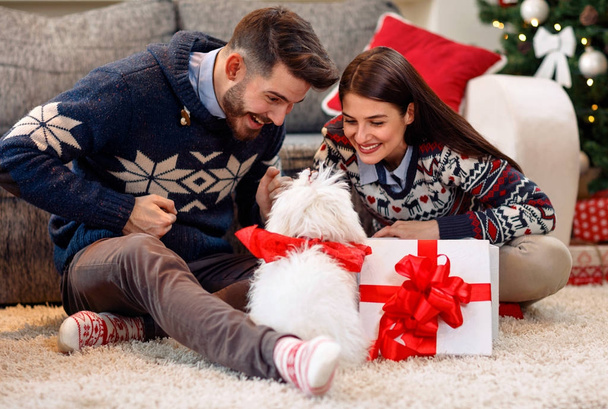 boyfriend giving present to girlfriend dog as Christmas present - Foto, Imagen