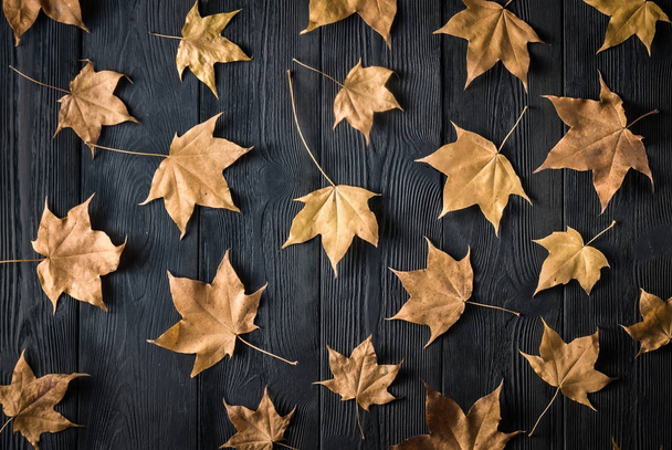 dry autumn leaves on a dark background - Φωτογραφία, εικόνα