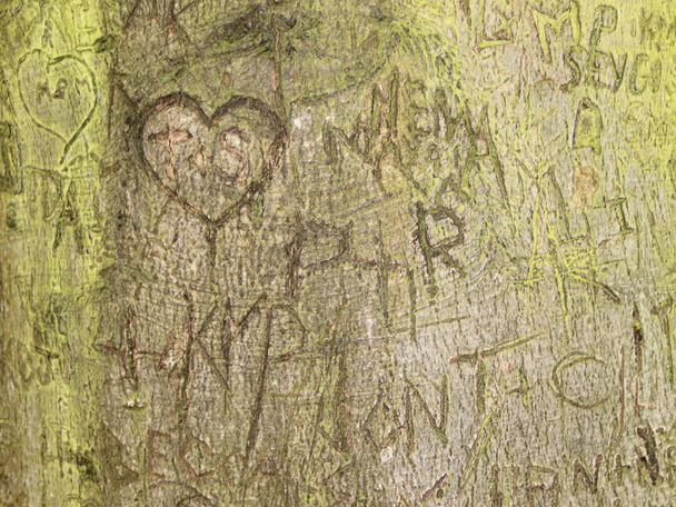 Initialen geheugen snijwerk in groene bast op oude boom - Foto, afbeelding