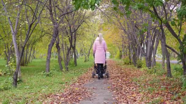girl with a stroller walks in autumn alley. Walk with your child outdoors - Footage, Video