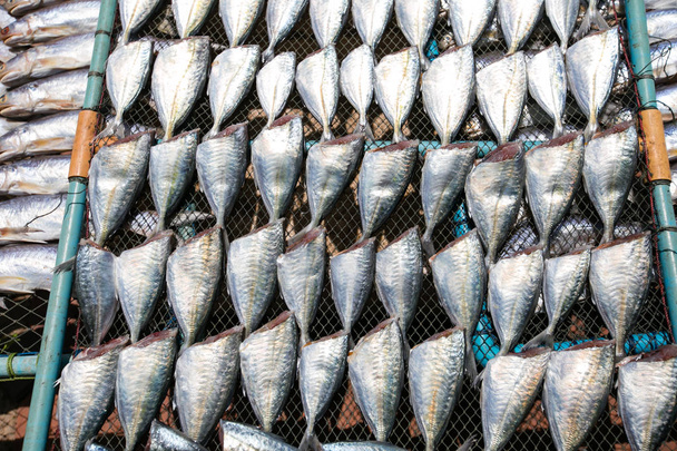 tuzlu balık kurutma rafları - Fotoğraf, Görsel