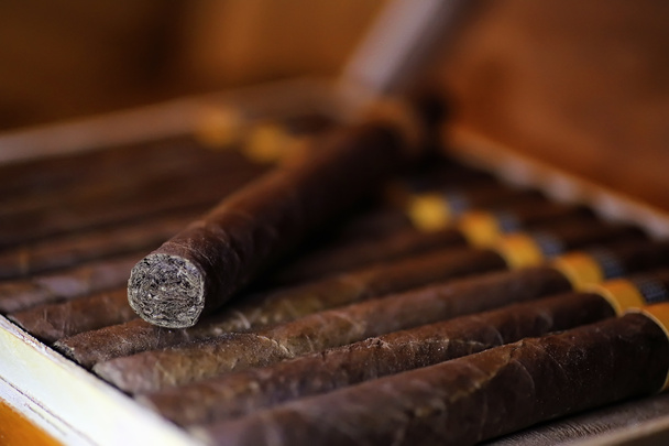 великий дерев'яний ящик сигар ручної роботи Кубинський - Фото, зображення