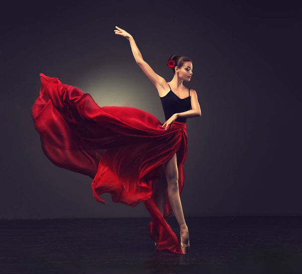 Молодая грациозная балетная танцовщица
 - Фото, изображение