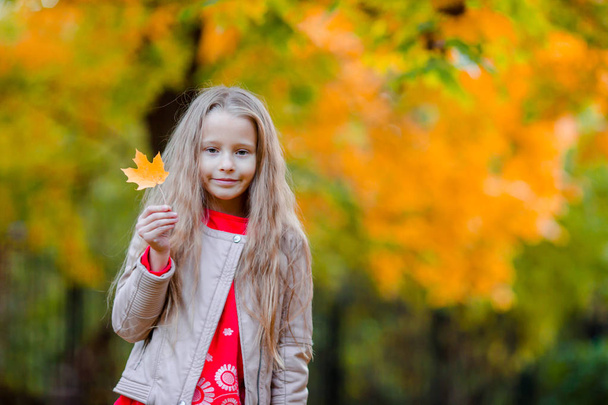 Πορτρέτο του αξιολάτρευτο κοριτσάκι σε εξωτερικούς χώρους στην όμορφη ημέρα του φθινοπώρου - Φωτογραφία, εικόνα
