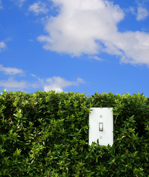 Lichtschakelaar op groene Hedge met blauwe lucht - Foto, afbeelding