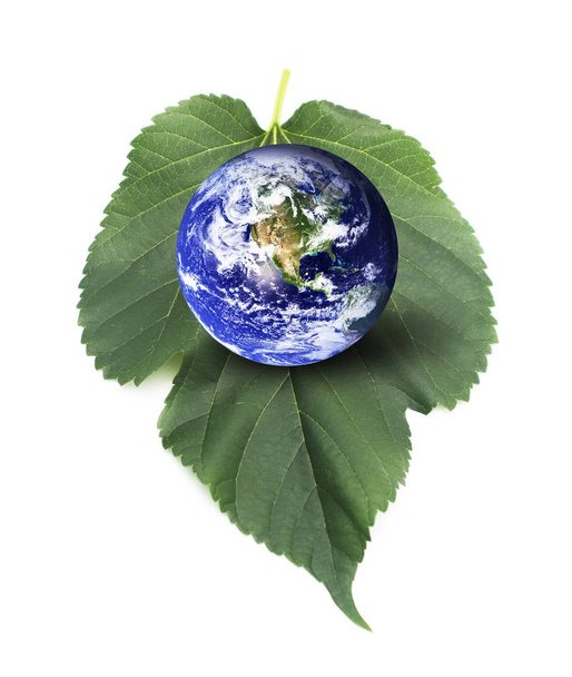 Eco Friendly. Earth on Leaf. - Photo, Image