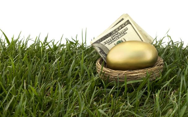 Nest Egg Retirement - Photo, Image