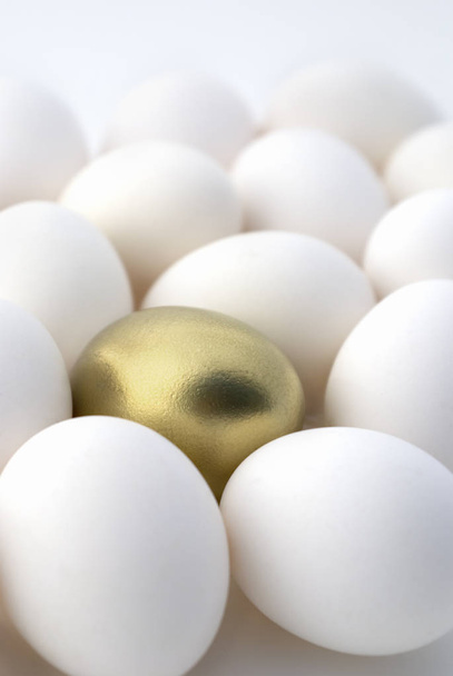 Diversifiëren uw Nest eieren - Foto, afbeelding