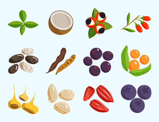 Vegetarian food healthy vegetable and fruits restaurant dishes cartoon berry vector. - Vector, Image