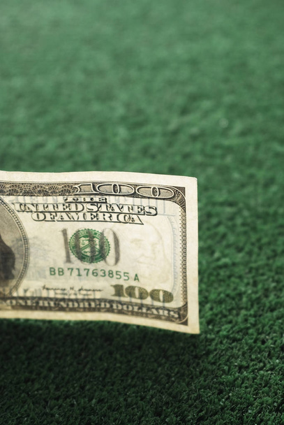 Sto dolarů Bill zelené investice - Fotografie, Obrázek