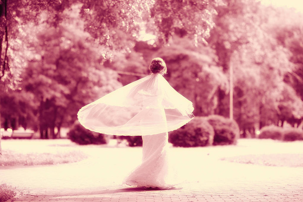 bride in white wedding dress   - Фото, изображение